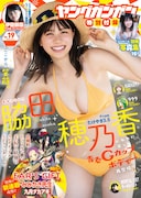 ヤングガンガン19号