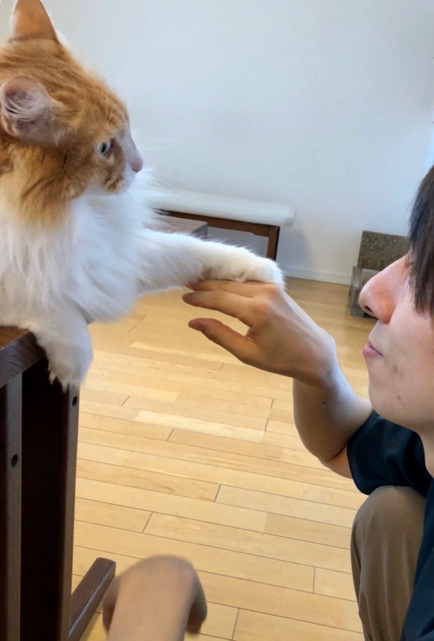 むぎと羽多野渉。