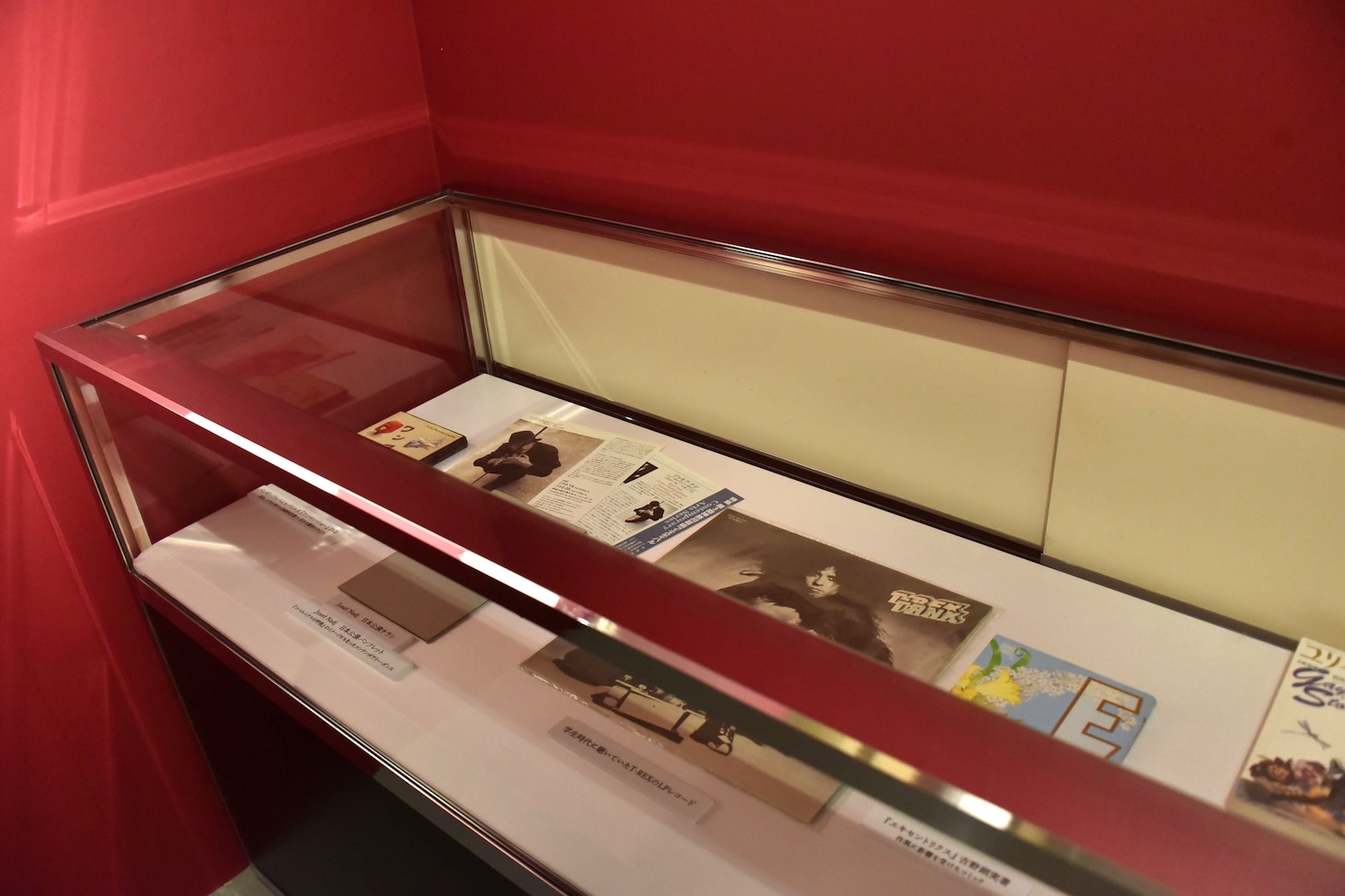 「中村明日美子20年展」の様子。