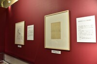 「中村明日美子20年展」の様子。