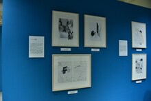 「中村明日美子20年展」の様子。