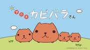 「アニメ カピバラさん」PV第2弾より。