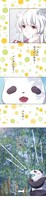 「異世界パンダライフ」より。