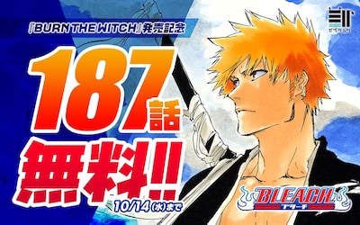 「BLEACH」の告知画像。(c)久保帯人／集英社