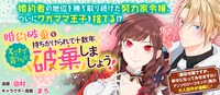 「婚約破棄を持ちかけられて十数年、そこまで言うなら破棄しましょう！」バナー