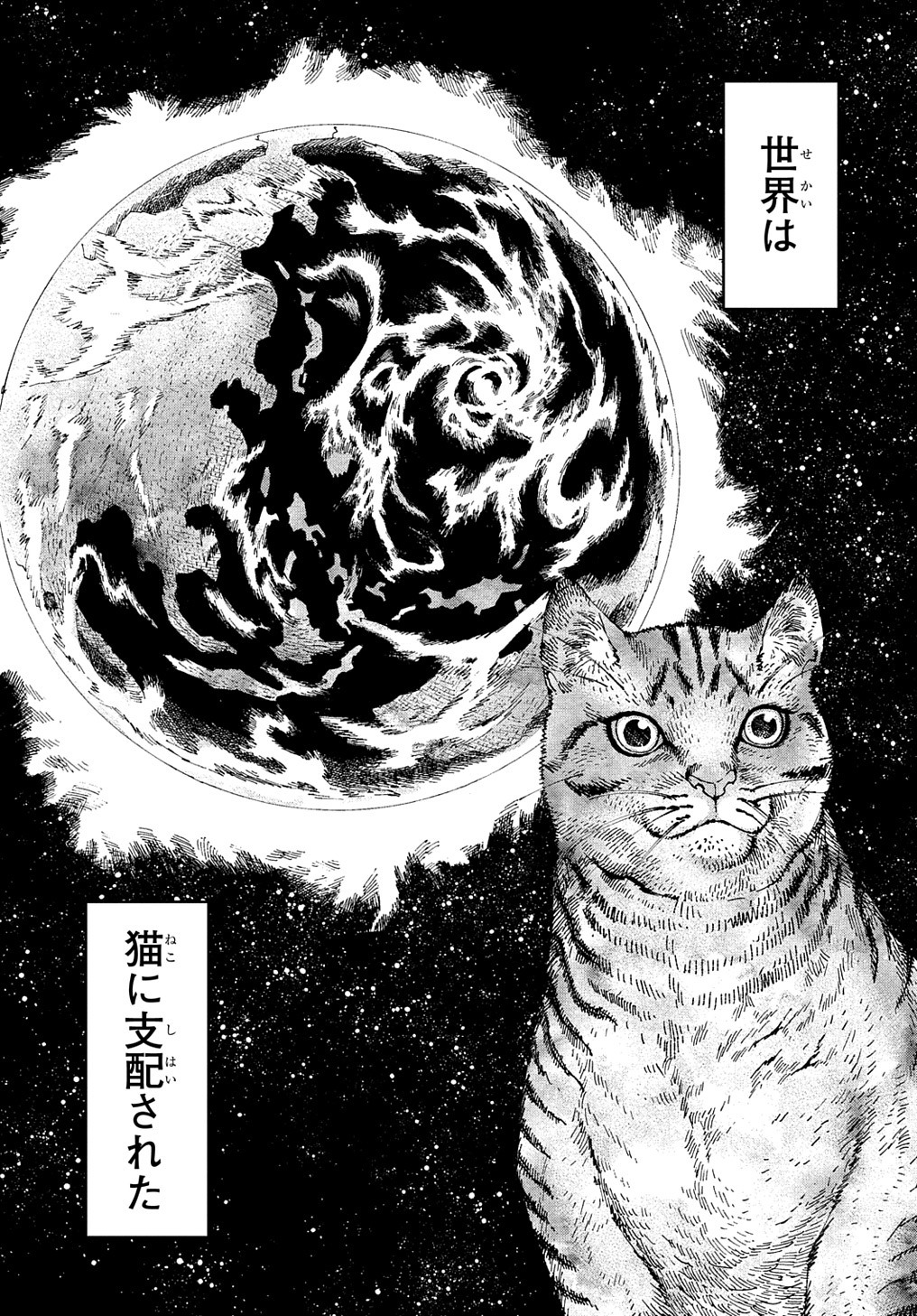 「ニャイト・オブ・ザ・リビングキャット」より。
