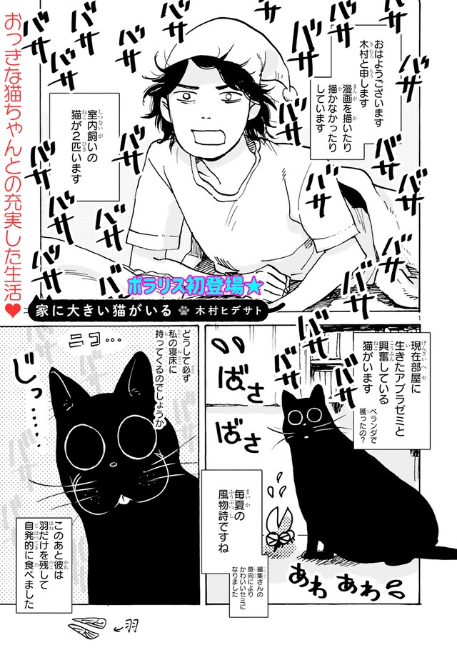 「家に大きい猫がいる」より。