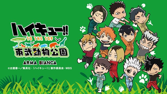 ハイキュー!! TO THE TOP × 東武動物公園」ミニキャラビジュアル