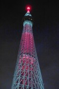 炎色に点灯した東京スカイツリー。
