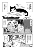 藤井おでこ「夜更かしキャット」 より。