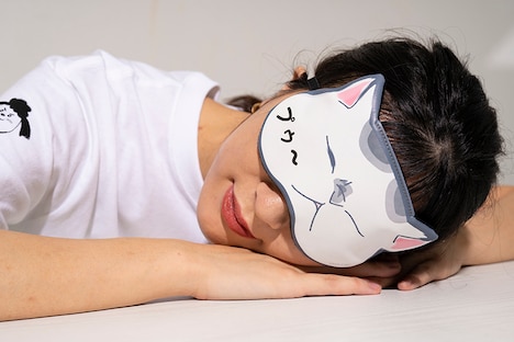 「毎日たのしいアイピロー 猫さま」の使用イメージ。