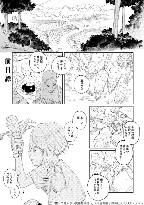「狼への嫁入り〜異種婚姻譚〜」より。