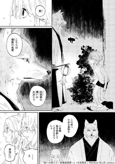 「狼への嫁入り〜異種婚姻譚〜」より。