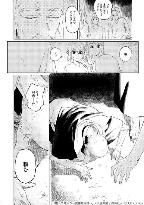 「狼への嫁入り〜異種婚姻譚〜」より。