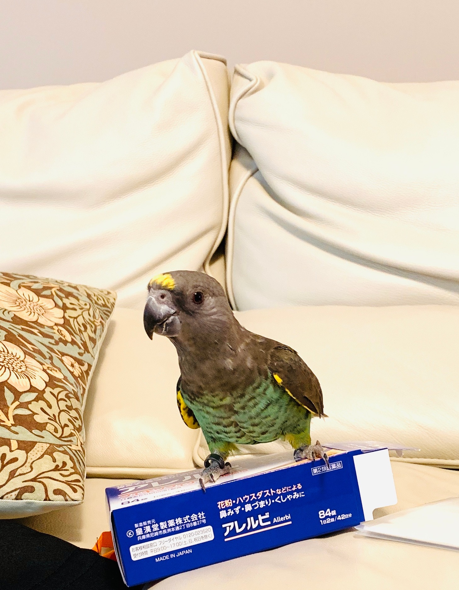 めら