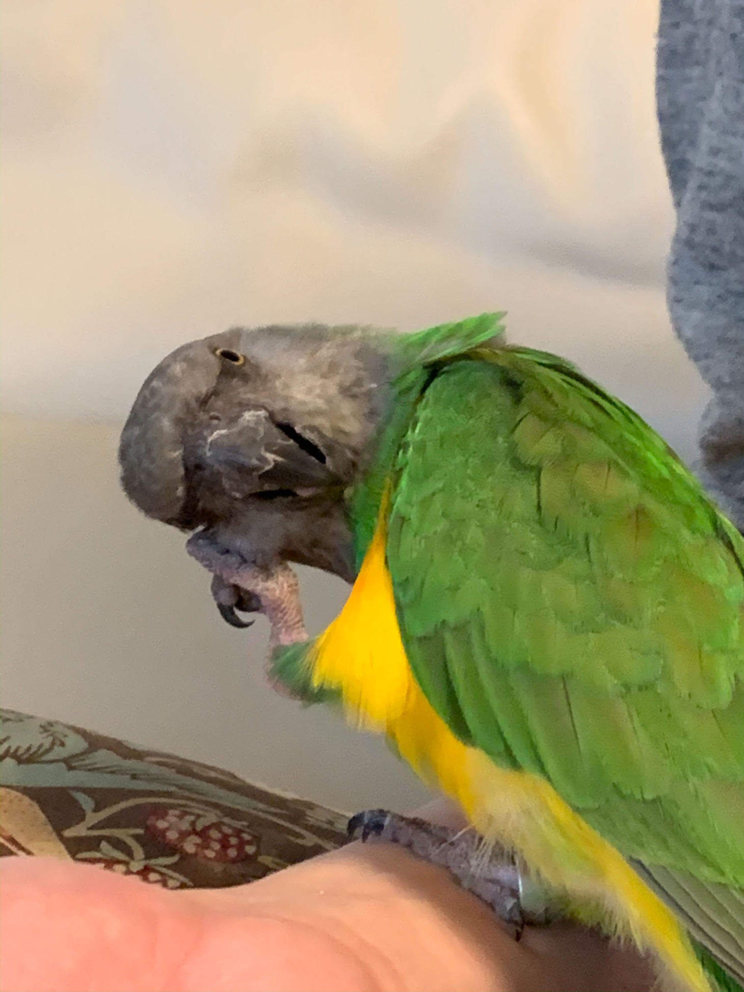 もる