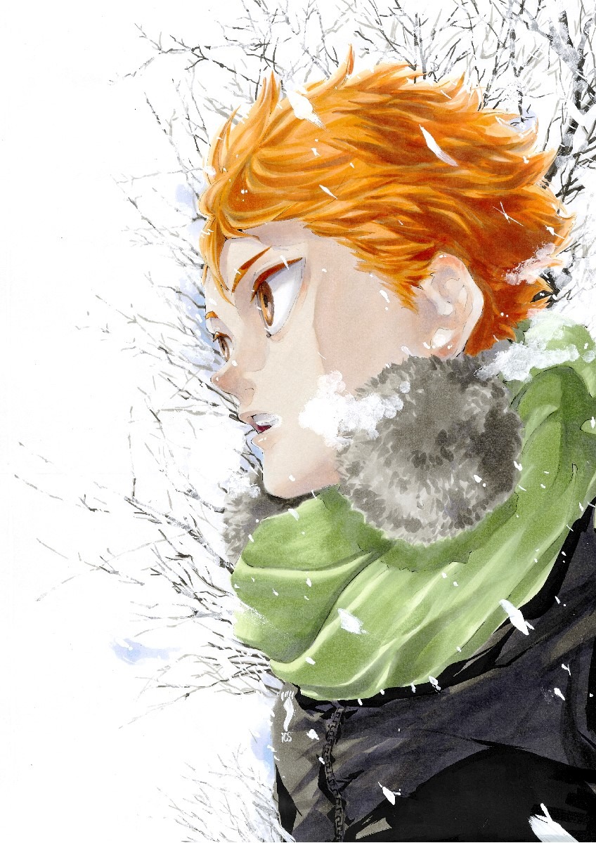 「ハイキュー!! Complete Illustration Book 終わりと始まり」表面用の描き下ろしカバーイラスト。(c)古舘春一/集英社