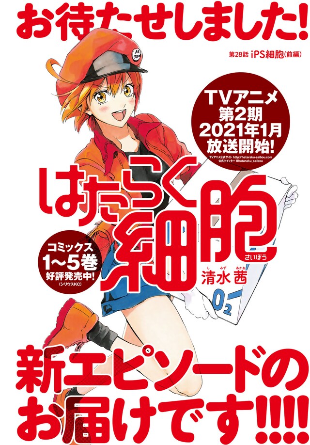 「はたらく細胞」扉ページ