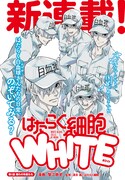 「はたらく細胞WHITE」扉ページ
