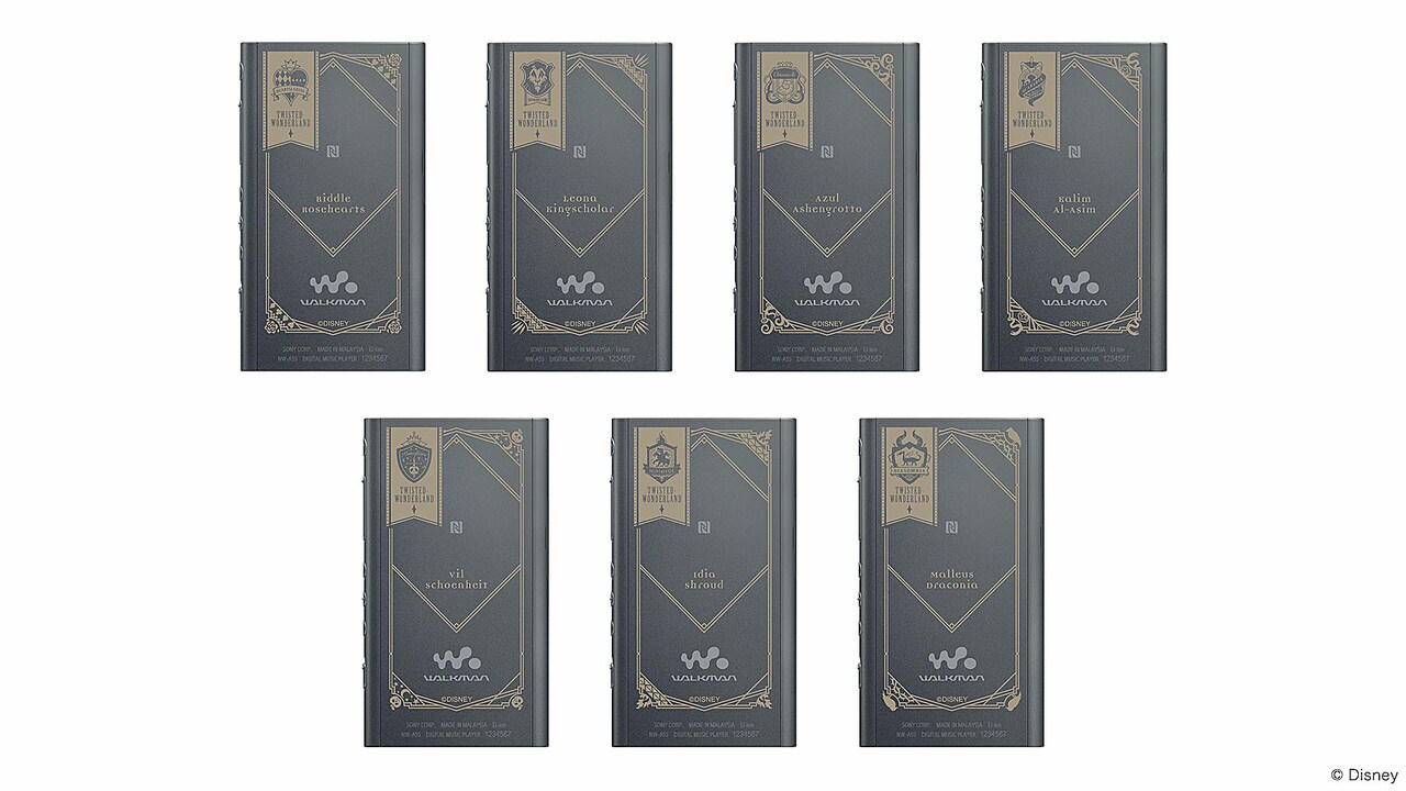 ソニー ウォークマン Aシリーズ NW-A55 ツイステ 刻印 シルバー ソニー ウォークマン Aシリーズ NW-A55 ツイステ 刻印 シルバー