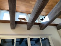 むぎお（左）となすひこ（右）。