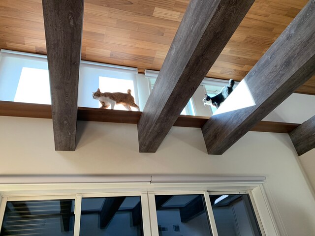 むぎお（左）となすひこ（右）。