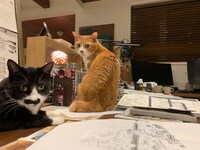 なすひこ（左）とむぎお（右）。