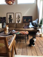 むぎお（左）となすひこ（右）。