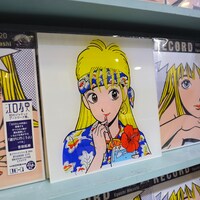 「LPサイズアクリルパネル」