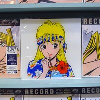 「LPサイズアクリルパネル」