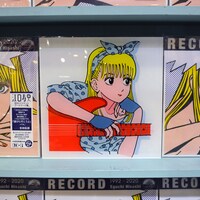 「LPサイズアクリルパネル」