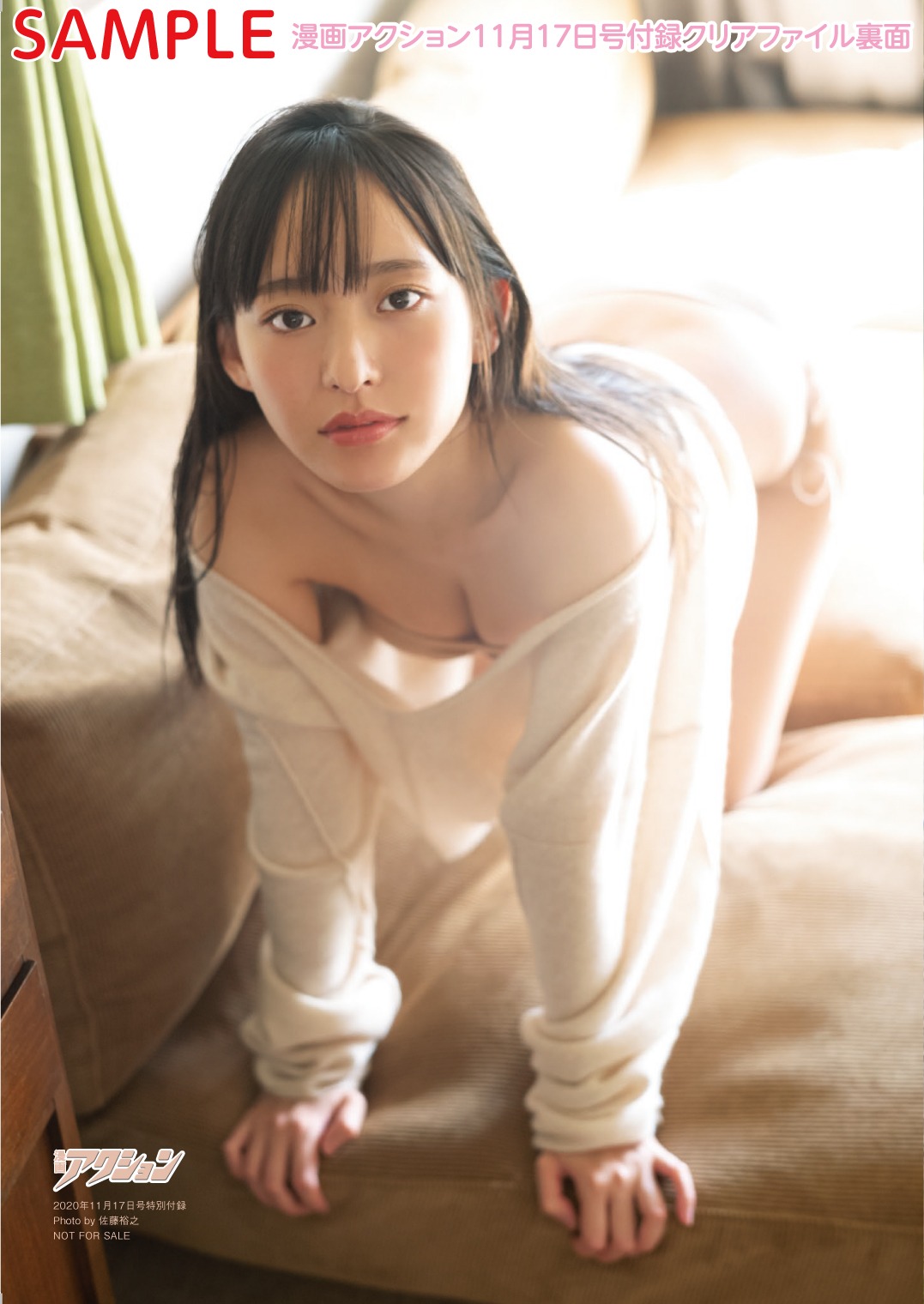 付録クリアファイルの裏面。