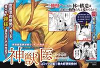 「神獣医」1巻ポップ