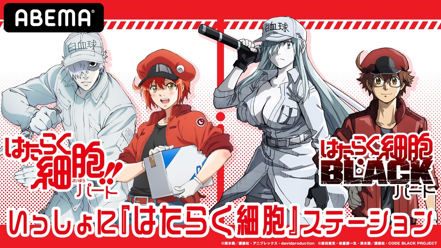 「いっしょに『はたらく細胞』ステーション」告知ビジュアル (c)清水茜/講談社・アニプレックス・davidproduction (c)原田重光・初嘉屋一生・清水茜/講談社・CODE BLACK PROJECT