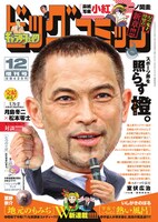 ビッグコミック増刊12月17日号