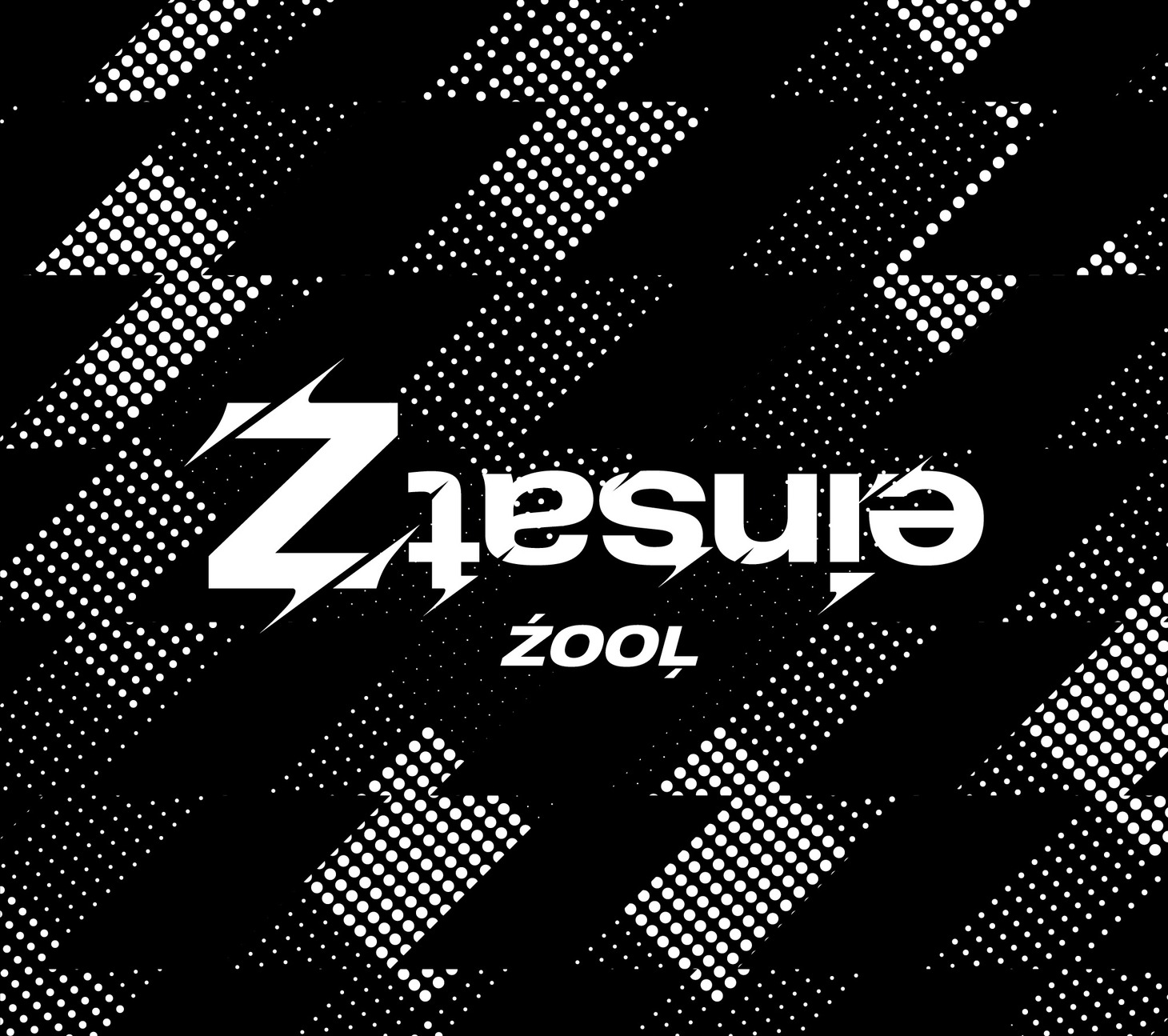 「ZOOL 1st Album “einsatZ"」の初回限定盤。