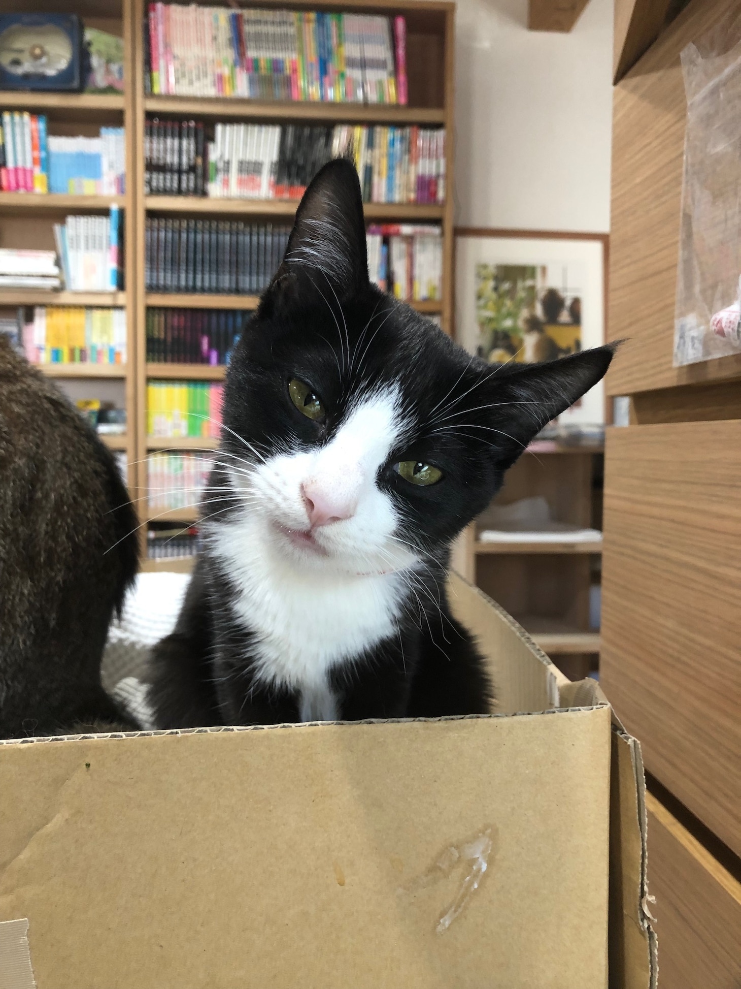 大ちゃん
