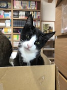 大ちゃん