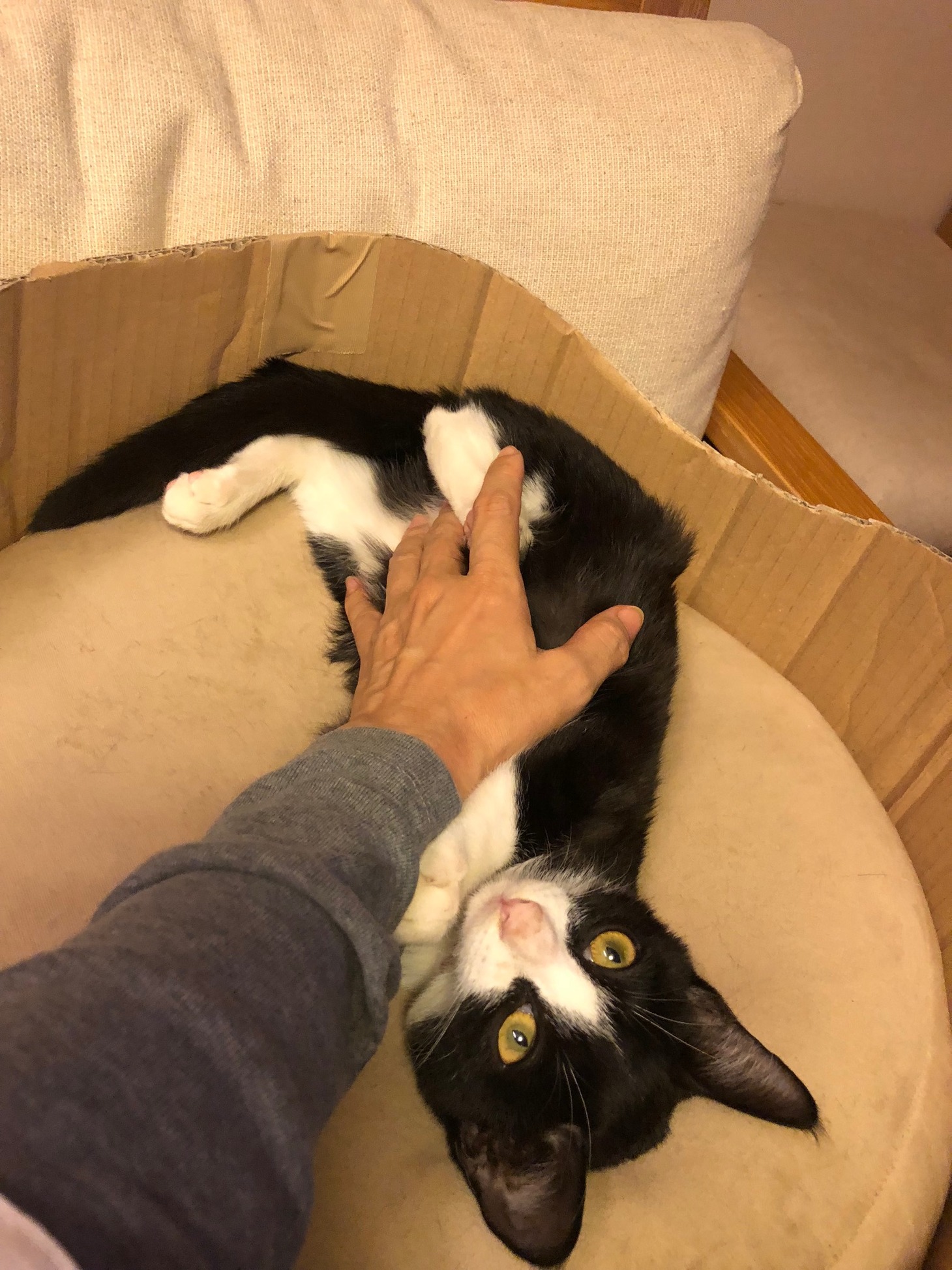 大ちゃん