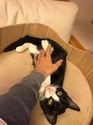 大ちゃん