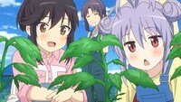 TVアニメ「のんのんびより のんすとっぷ」PVより。