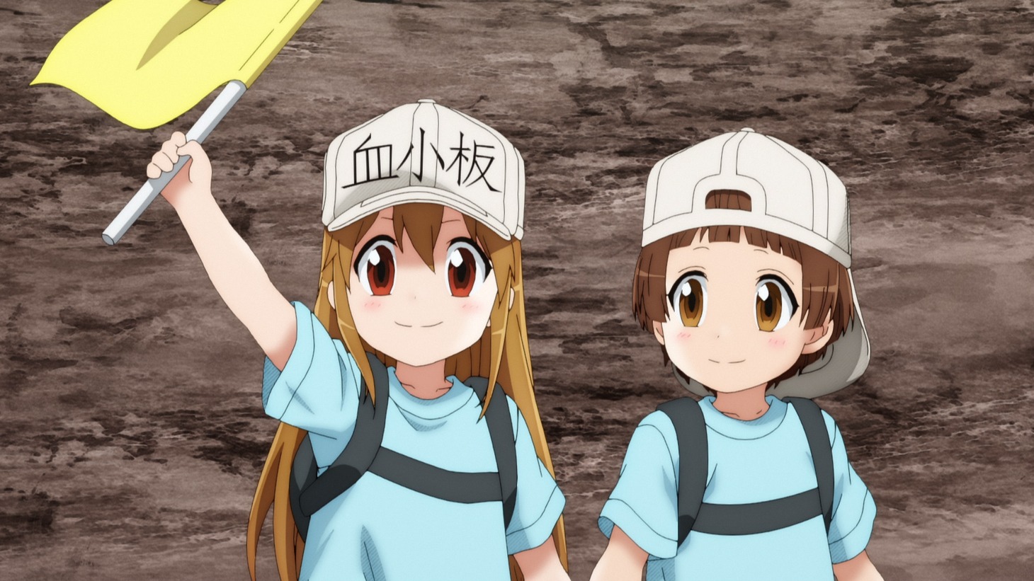 「はたらく細胞!!」PVより。