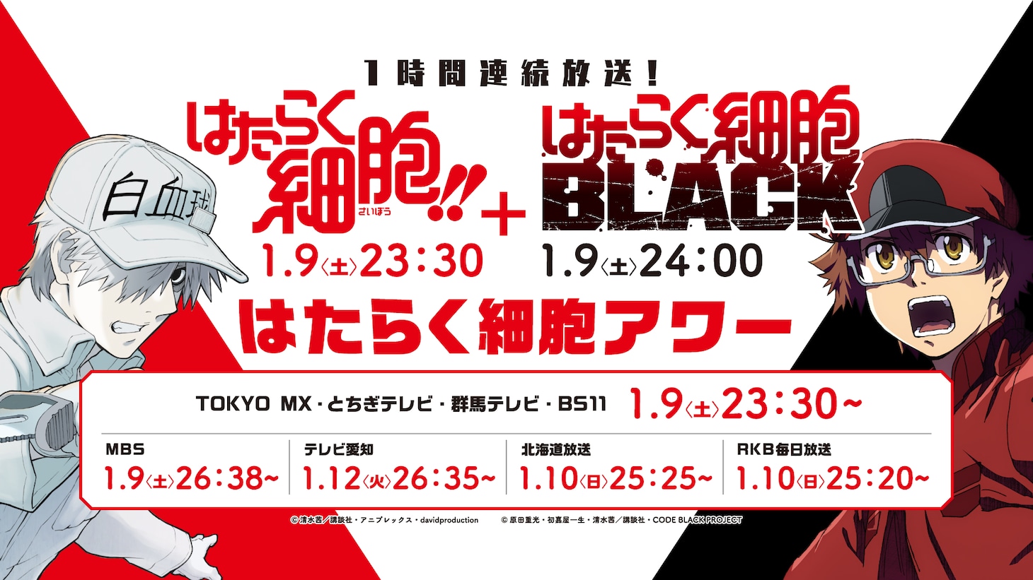 「はたらく細胞!!」「はたらく細胞BLACK」の放送告知画像。