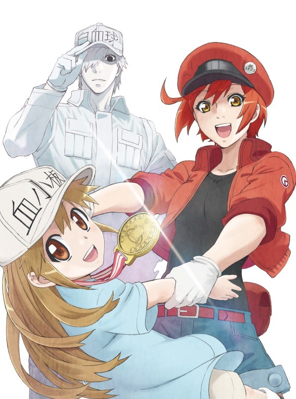 「はたらく細胞!!」ビジュアル