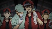 「はたらく細胞BLACK」第2弾PVより。