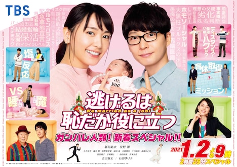 「逃げるは恥だが役に立つ ガンバレ人類！新春スペシャル!!」ポスタービジュアル