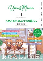 「うめともものふつうの暮らし」1巻帯付き