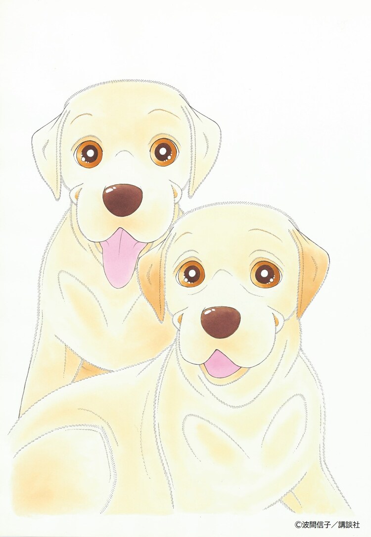 波間信子の盲導犬マンガ ハッピー ハッピー がbe Loveで完結 25年の連載に幕 コミックナタリー
