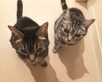 左から海、陸。