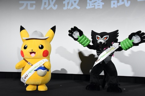 左からピカチュウ、ザルード。